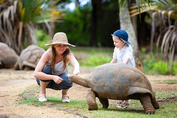 Mauritius wild life activities